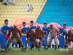 Улсын баяр наадамд хүч үзэх бөхчүүдийг 9, 10-нд бүртгэнэ