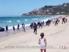 Испани улсад хууль бус цагаач, дүрвэгчийн тоо 11 мянгад хүрчээ 