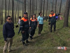 Нийслэлийн ногоон бүсэд ойн цэвэрлэгээ хийж байна