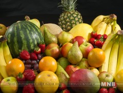 “Жимс, жимсгэнэ” үндэсний хөтөлбөрийг батлав