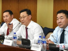 Зөвхөн Монголдоо үйлдвэрлэсэн бараа, бүтээгдэхүүн худалдан авахы үүрэг болголоо