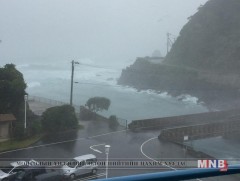 Японд хүчтэй хар салхины улмаас дотоодын 260 нислэгийг цуцалжээ