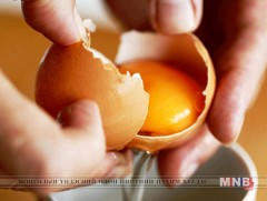 Хортой өндөгний хэрэгт холбогдуулан 2 хүнийг баривчилжээ 