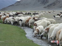 Малын гоц халдварт өвчингүй, эрүүл бүс байгуулж, мал, мах экспортолно