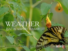 Улаанбаатарт өдөртөө 21 хэм дулаан