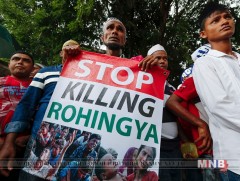 Рохинжа нар түр эвлэрэх санал тавив 