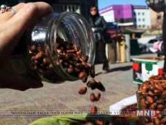 Эрүүл ахуйн шаардлага хангаагүй самарыг хүнсэндээ хэрэглэхгүй байхыг сэрэмжлүүлж байна