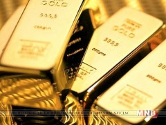 Алт тушаалт 1.1 тонноор өсөв