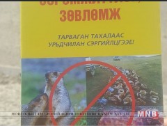  Шүлхий өвчний талаар зөвлөмж тараан ажиллаж байна