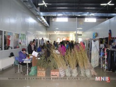 “Тарьц суулгацын үзэсгэлэн худалдаа-2017” нээлтээ хийлээ  