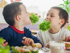 Өндөр тунт А аминдэмийн бэлдмэлийг жил бүрийн 5 болон 11 дүгээр сард ууна