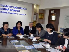 Хуулиудын хэрэгжилтэд хяналт шалгалт хийх Ажлын хэсэг Хүний эрхийн үндэсний комисст ажиллав