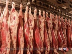 Махны үйлдвэр бүрэн хүчин чадлаараа ажиллаж эхэллээ