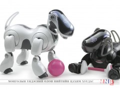 2018 онд “AIBO” робот нохой дэлхийн зах зээлд эргэн ирнэ