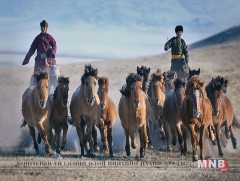 “Талын түмэн адуу-2017” түүх, уламжлалыг харуулна