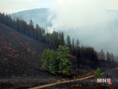 Ойд зорчин явагчдад зориулсан зөвлөгөө 