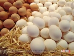 Өндгийг хэрхэн сонгох вэ