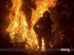 Калифорнид ойн түймрийн уршгаар  амиа алдсан хүний тоо 21-т хүрээд байна