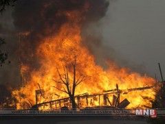 Усан үзмийн талбайд гал гарч, 10 хүн амь үрэгджээ 