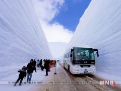 Японы алдарт уулын зам