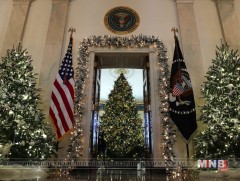 Цагаан ордон зул сарын баярын гацуураа засчээ