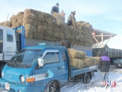 Өвс, тэжээлийн нөөц бүрдүүлэхэд 4.5 тэрбум төгрөг зарцуулна