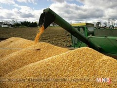 220 гаруй мянган тонн үр тариа хураан авчээ