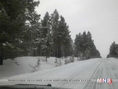 Сэлэнгэ аймагт ойг доройтол, хомсдолоос хамгаалах зөвлөх баг ажиллаж байна