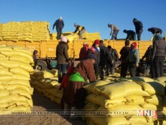 Улсын нөөцөд өвс, тэжээл худалдаж авна