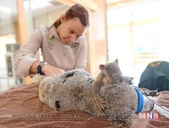 Би ээжийгээ орхихгүй