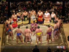 Башёг найман бөх тэргүүлж байна