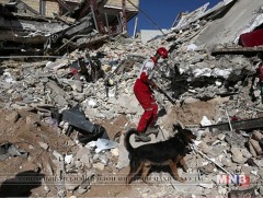 Энэтхэг, Хятадын хилийн орчим 6,9 магнитудын хүчтэй газар хөдлөлт болжээ