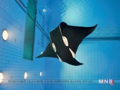 “Мanta Droid” далайн робот-шулмыг тэнгисийн усанд туршина