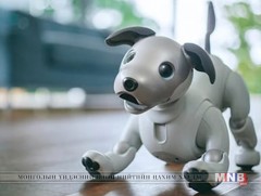 Сони корпораци шинэ загварын “АИБО” робот нохойгоо танилцууллаа