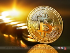 Венесуэл санхүүгийн хоригийн хүндрэлийг даван туулахын тулд криптовалютын системтэй болно  