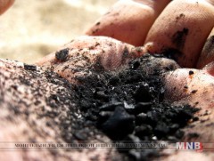 Хүнд металлын хордлогод хэн өртөх эрсдэлтэй вэ