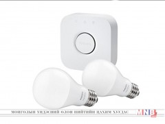 Венийн эрдэмтэд нанометрийн гэрлийн чийдэн бүтээжээ