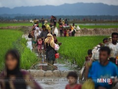 Мьянмарын цэргийнхэн рохинжа үндэстнийг хоморголон устгахад оролцсон гэдгээ хүлээлээ 