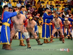 Халз барилдаанд зодоглох чансаа өндөр 16 бөхийн нэрс тодорлоо