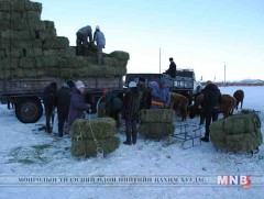 Баян-Өндөр сумын малчид өвс тэжээлийг хөнгөлөлттэй үнээр авна