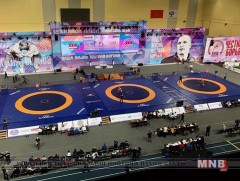 Манай зургаан бөх хүрэл медалийн төлөө барилдана