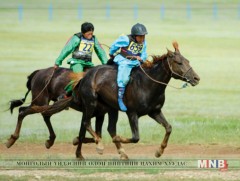 2017 оны эрлийз дээд ангиллын шилдэг хурдан хүлэгтэй танилцана уу