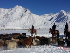 Улсын онцгой комиссын шуурхай бүлэг Архангай аймагт ажиллалаа