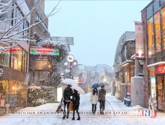 Япон өвлийн аялал жуулчлалын хамгийн тохиромжтой орноор нэрлэгддэг