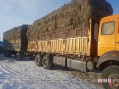 Өмнөговь аймгийн 5 суманд улсын нөөцийн өвс тэжээлийг олголоо