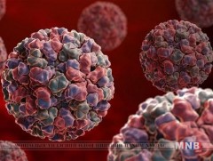 Норовирусын халдварын талаарх зөвлөмж 