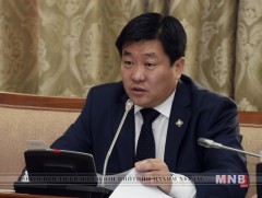 Үндсэн хуулийн цэцийн дүгнэлтийг хэлэлцэв