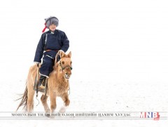 Ерөнхий сайд У.Хүрэлсүх сар шинийн мэндчилгээ дэвшүүлэв 