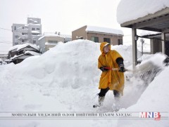Японд 130 см зузаан цас оржээ