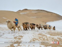 MNB WORLD presents: Tsagaan sar with camel caravan